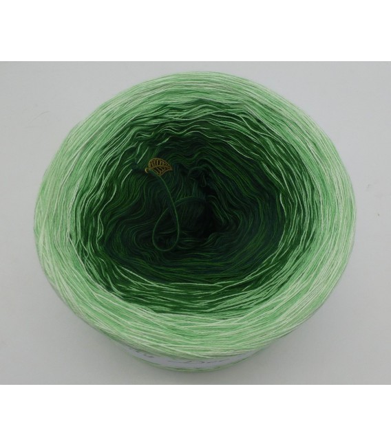 Evergreen (вечнозеленый) - 4 нитевидные градиента пряжи - Фото 3