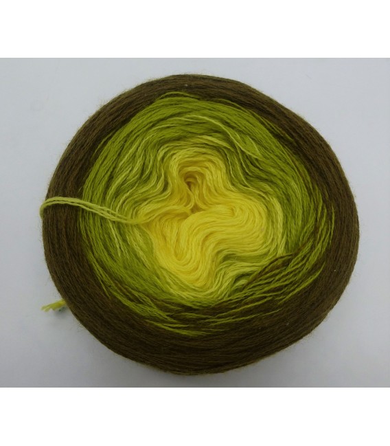 100g Bobbel Merino - V001 - gradient yarn - image 2
