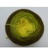 100g Bobbel Merino - V001 - gradient yarn - image 2 ...