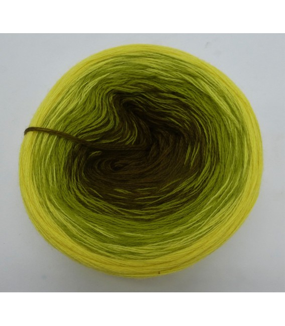 100g Bobbel Merino - V001 - gradient yarn - image 3