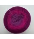 100g Bobbel Merino - V001 - gradient yarn - image 4 ...