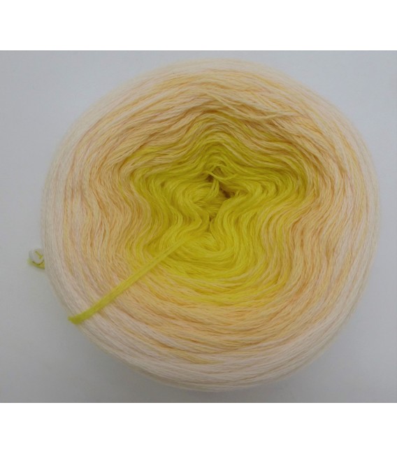 100g Bobbel Merino - V001 - gradient yarn - image 6