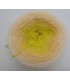 100g Bobbel Merino - V001 - gradient yarn - image 6 ...