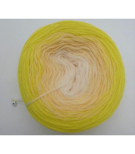 100g Bobbel Merino - V001 - gradient yarn - image 7