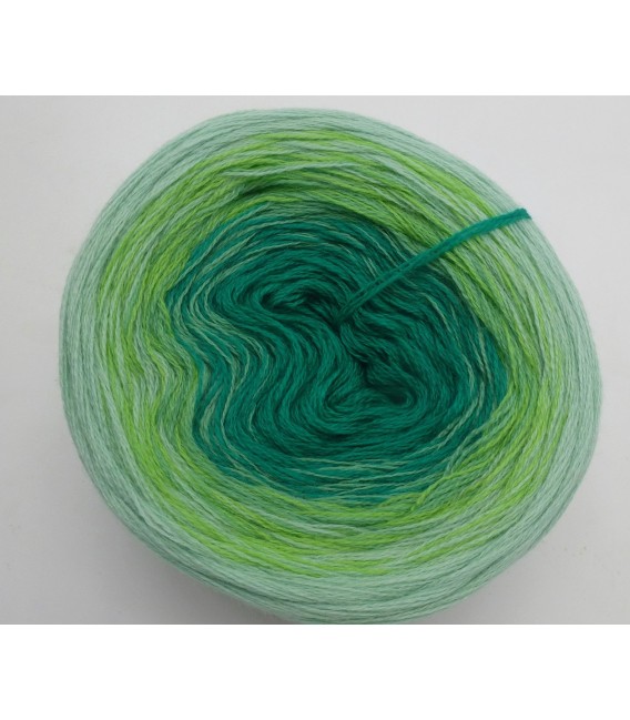 100g Bobbel Merino - V001 - gradient yarn - image 8