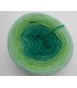 100g Bobbel Merino - V001 - gradient yarn - image 8 ...