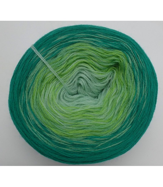 100g Bobbel Merino - V001 - gradient yarn - image 9