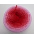 100g Bobbel Merino - V001 - gradient yarn - image 10 ...