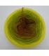 100g Bobbel Merino - V002 - gradient yarn - image 4 ...