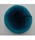 100g Bobbel Merino - V002 - gradient yarn - image 5 ...
