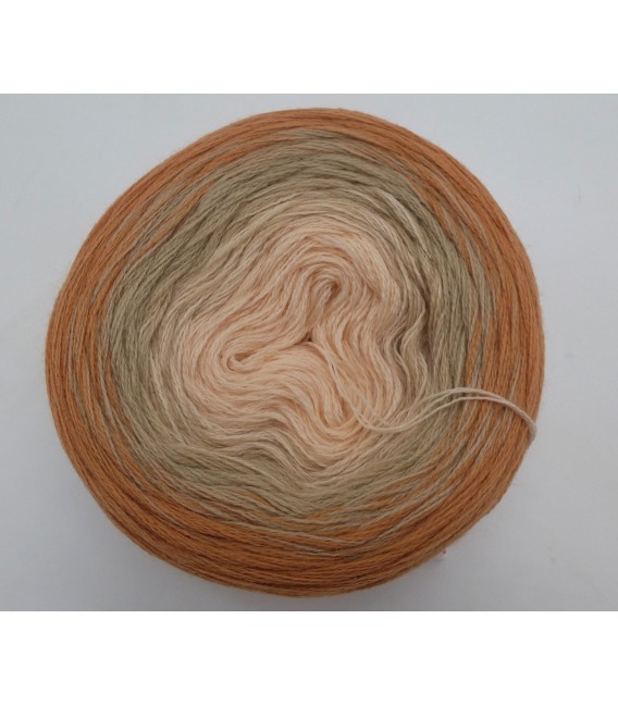 100g Bobbel Merino - V002 - gradient yarn - image 7