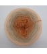 100g Bobbel Merino - V002 - gradient yarn - image 8 ...