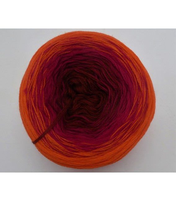 100g Bobbel Merino - V003 - gradient yarn - image 3