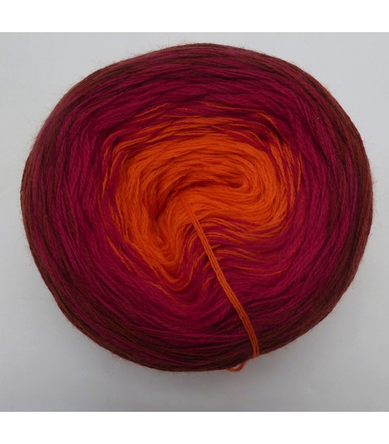 100g Bobbel Merino - V003 - gradient yarn - image 4