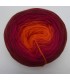 100g Bobbel Merino - V003 - gradient yarn - image 4 ...
