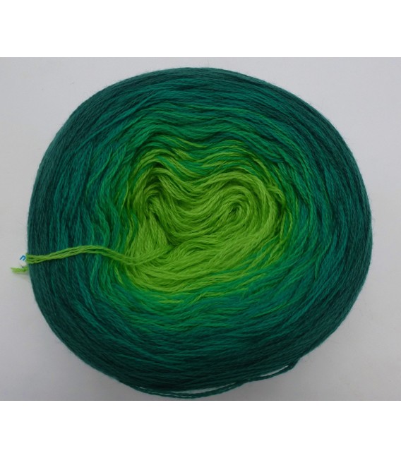 100g Bobbel Merino - V003 - gradient yarn - image 12