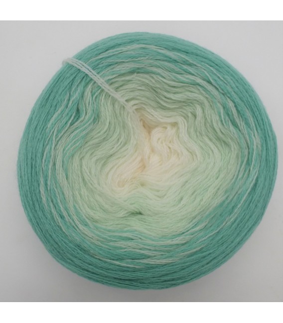 100g Bobbel Merino - V003 - gradient yarn - image 17