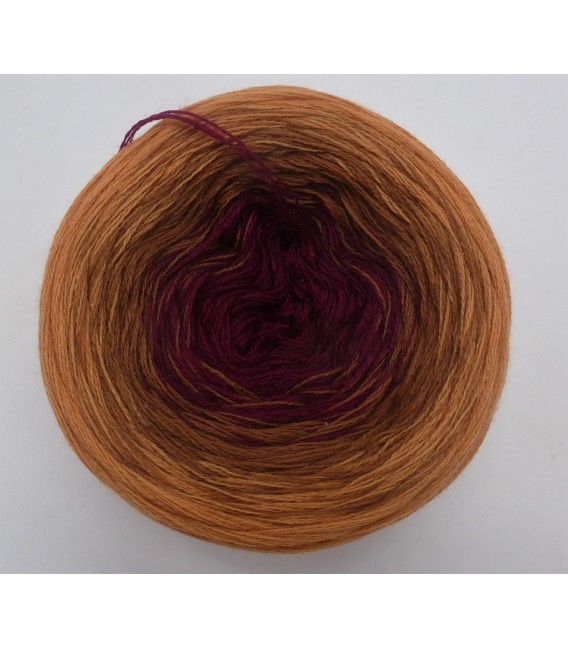 100g Bobbel Merino - V003 - gradient yarn - image 18