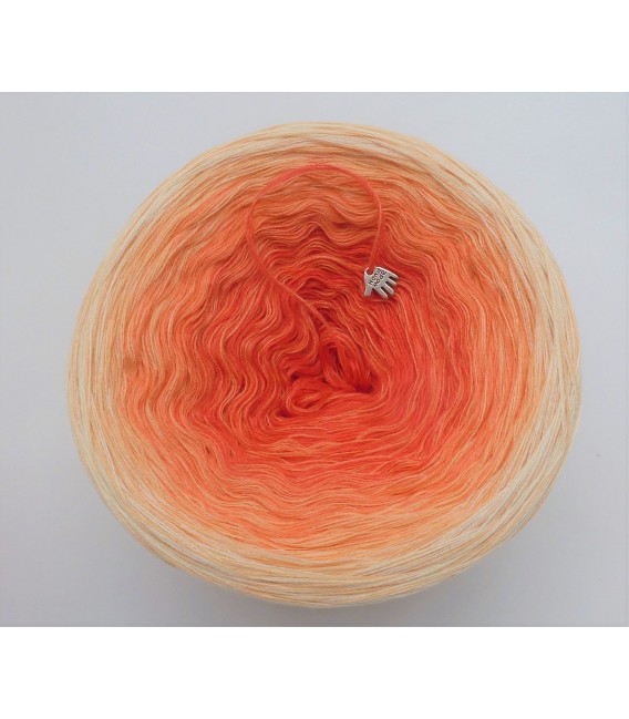 Zuckermelone (musk melon) - 4 ply gradient yarn - image 3