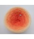 Zuckermelone (melon musc) - 4 fils de gradient filamenteux - photo 3 ...
