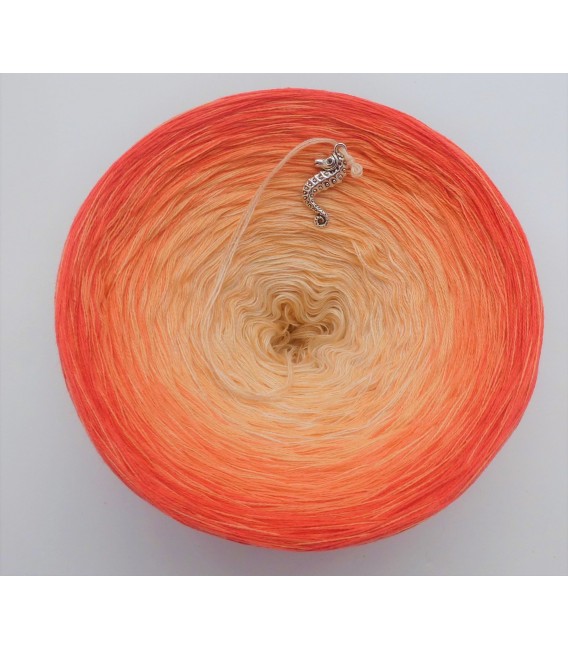 Zuckermelone (melon musc) - 4 fils de gradient filamenteux - photo 5