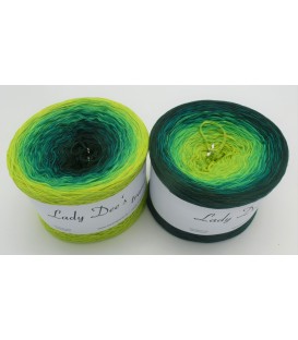 Waldlichtung - 4 ply gradient yarn