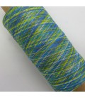 Auxiliary yarn - effect yarn Multicolore -  G046