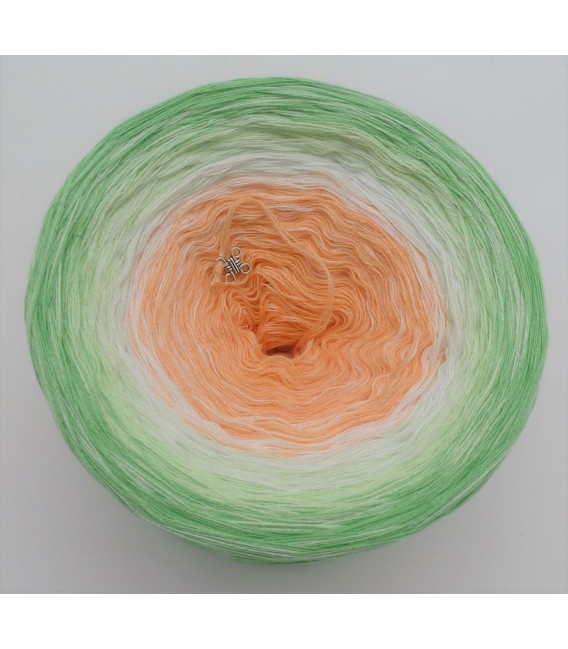 Januar (January) Bobbel 2020 without glitter - 4 ply gradient yarn - image 5