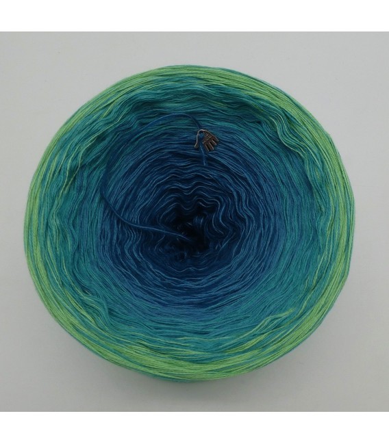 August Bobbel 2020 - 4 ply gradient yarn - image 3