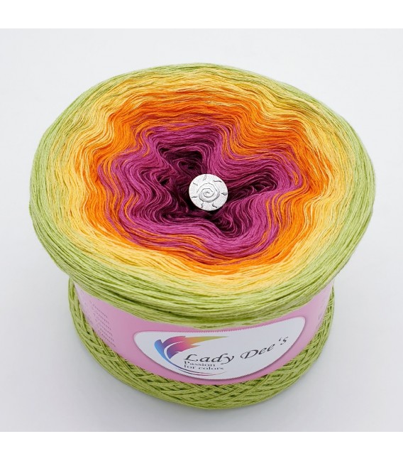 Oase in Bunt - Oasis in colorful - 3 ply gradient yarn - image 2