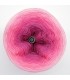 Oase in Pink (Oasis in pink) - 3 ply gradient yarn - image 6 ...