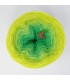 Aurora Borealis - 4 ply gradient yarn ...