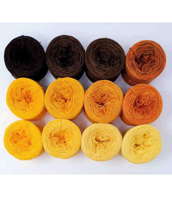 treasure chest - Land der Sonnenblumen - gradient yarn