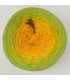 Narzisse - 4 ply gradient yarn ...