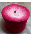 Cinderella's Traum - 4 ply gradient yarn