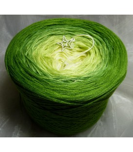 Limettchen - 4 ply gradient yarn