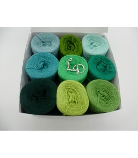 Un paquet Bobbelinchen Lady Dee's Farben des Lebens (Couleurs de vie) (4 fils - 900m) - Teintes verte - Photo 1