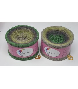 Moosbeere - 4 ply gradient yarn