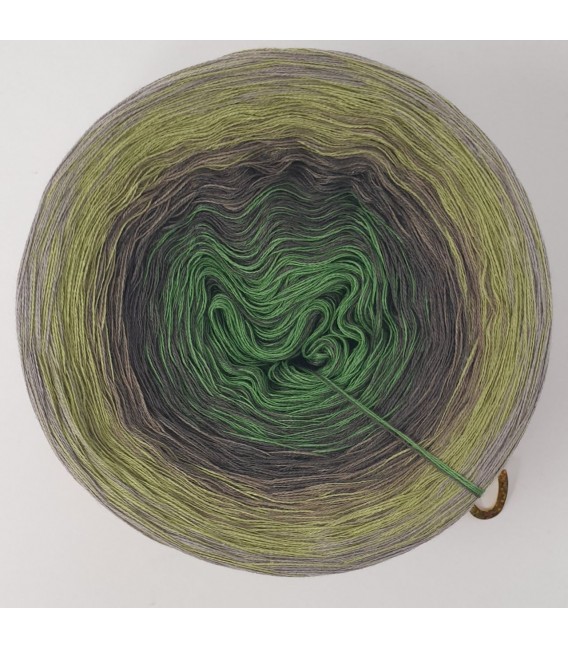 Moosbeere - 4 ply gradient yarn