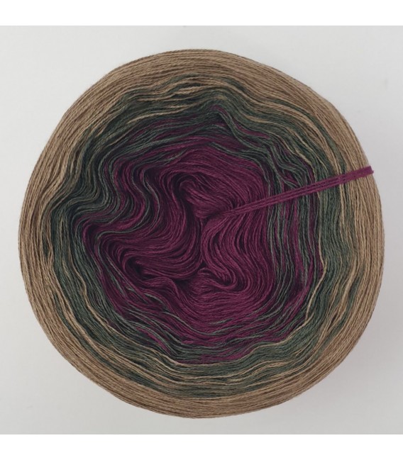 Mauerblümchen - 3 ply gradient yarn