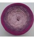 Himbeer Sorbet - 4 fils de gradient filamenteux ...