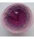 Himbeer Sorbet - 4 ply gradient yarn ...
