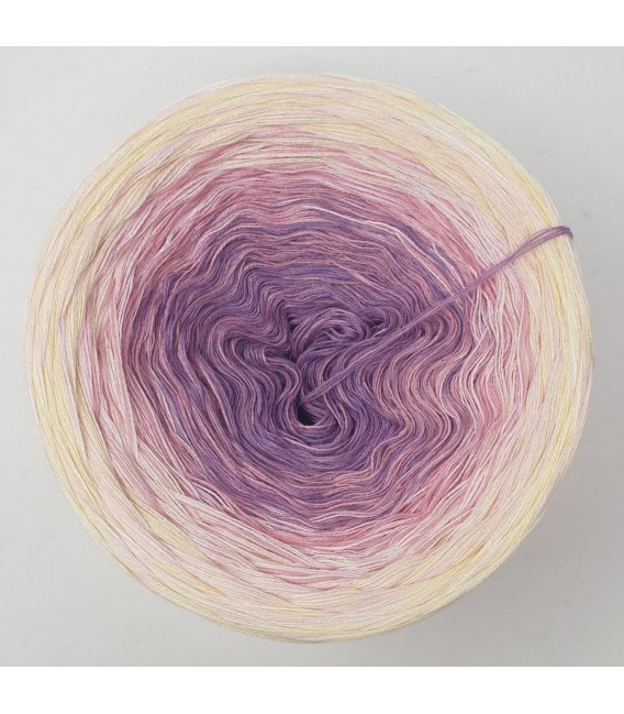 August Bobbel 2026 - 4 ply gradient yarn