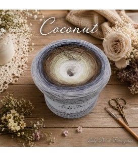 Coconut (Кокос) Гигантский Bobbel - 4 нитевидные градиента пряжи - Фото 1