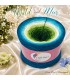 Wald und Meer (Лес и море) Гигантский Bobbel - 4 нитевидные градиента пряжи - Фото 1 ...