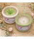 Lovely Green - 4 нитевидные градиента пряжи ...