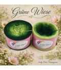 Grüne Wiese - 3 ply gradient yarn