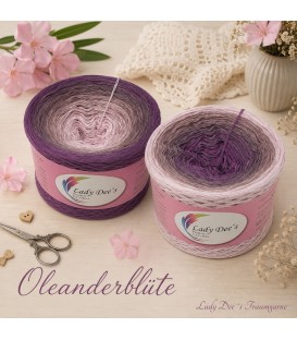 Oleanderblüte - 4 ply gradient yarn