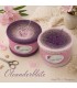 Oleanderblüte - 4 нитевидные градиента пряжи ...
