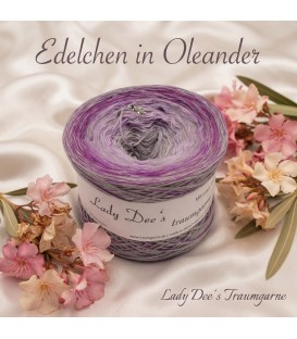 Edelchen in Oleander - 4 ply gradient yarn
